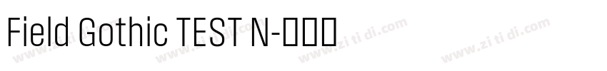 Field Gothic TEST N字体转换